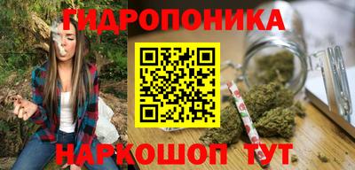прущие крисы Будённовск