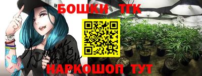 прущие крисы Будённовск
