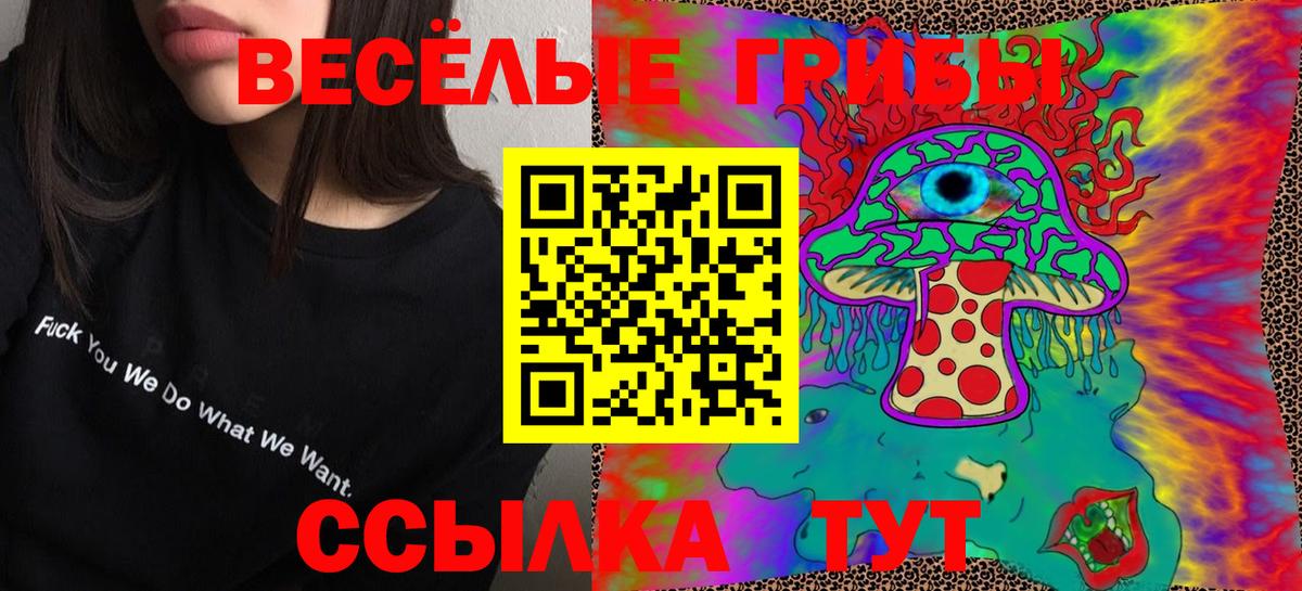 Серов  Псилоцибиновые грибы Psilocybine cubensis  Псилоцибиновые грибы мицелий  Вход с VPN 